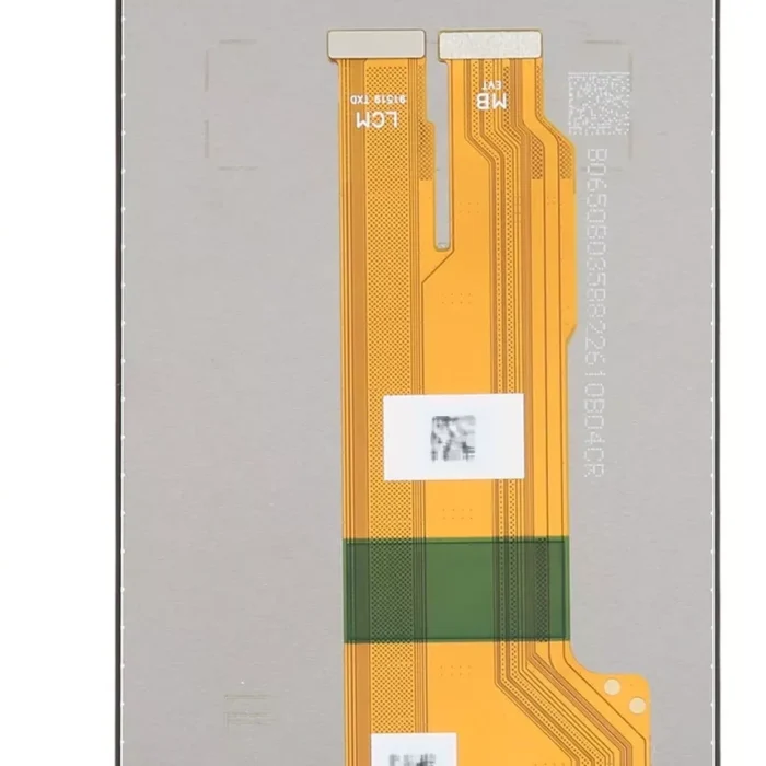 9ii-e1734267874214