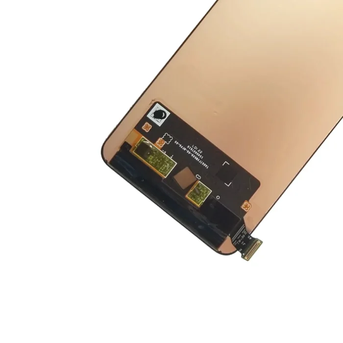 GT-Neo-31-1.jpeg (1)