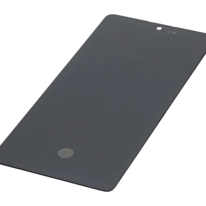 S10-Lite-Display-scaled